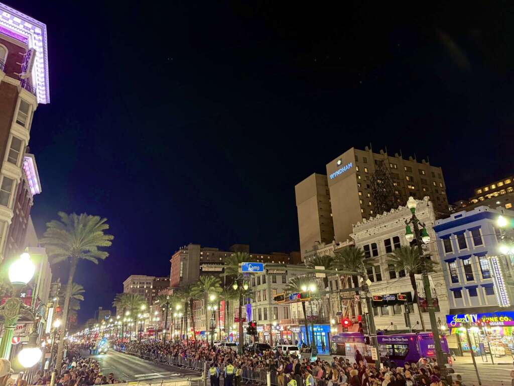 Neon Nights of Mardi Gras